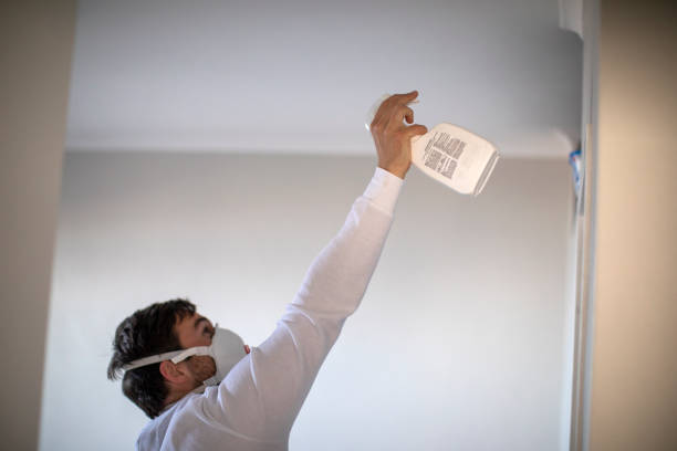 Best Black Mold Removal  in Massapequa, NY